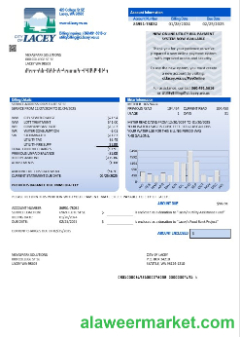 USA Washington City of Lacey water business utility bill template in Word and PDF formats (proof of address)